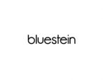 bluestein